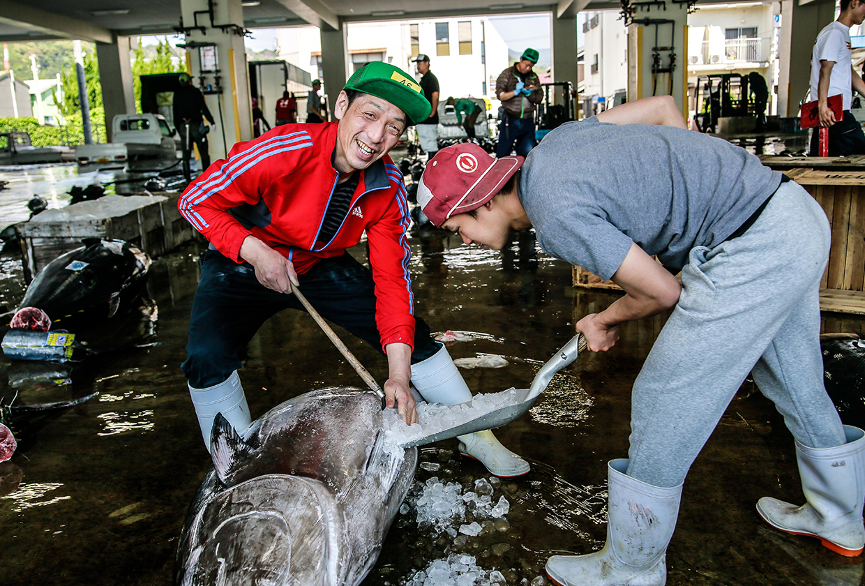 Wakiguchi Tuna company commitment to Tuna