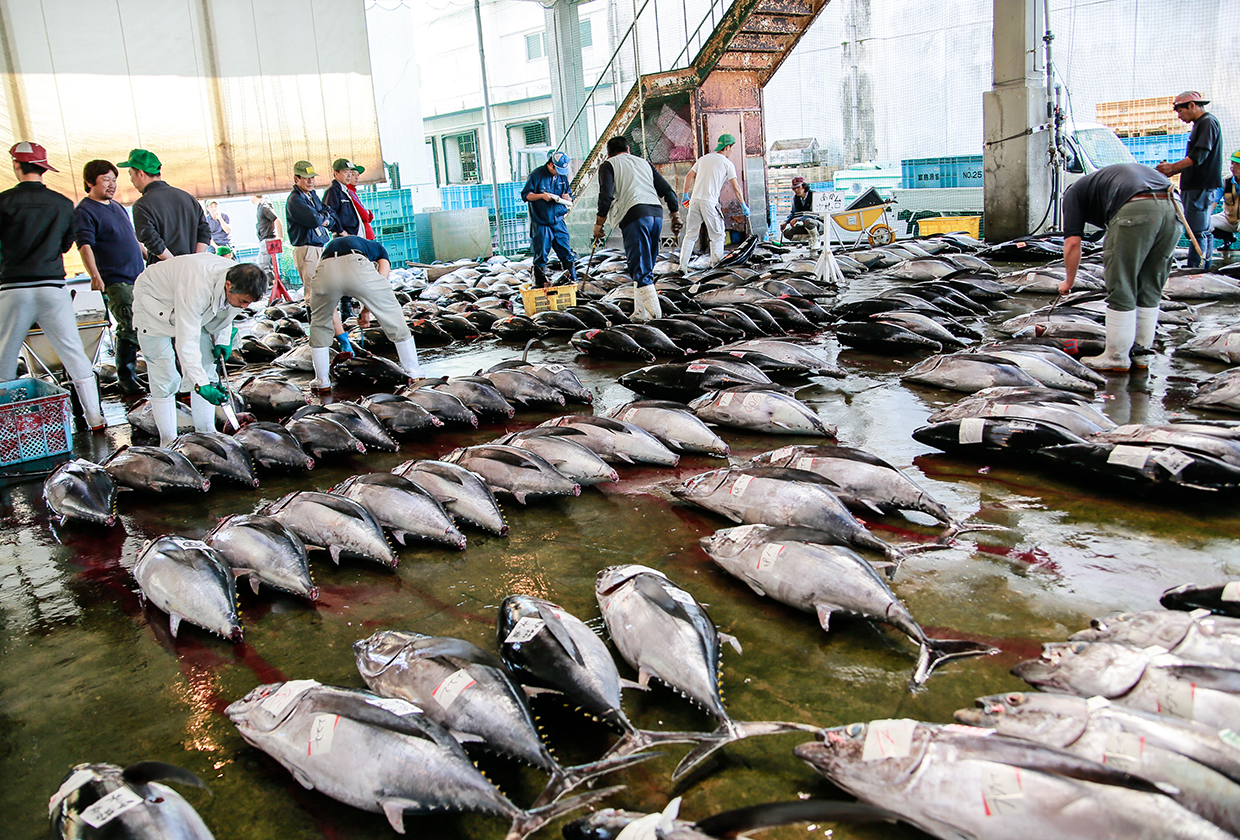 Fisheries and the Longline Fishing Method