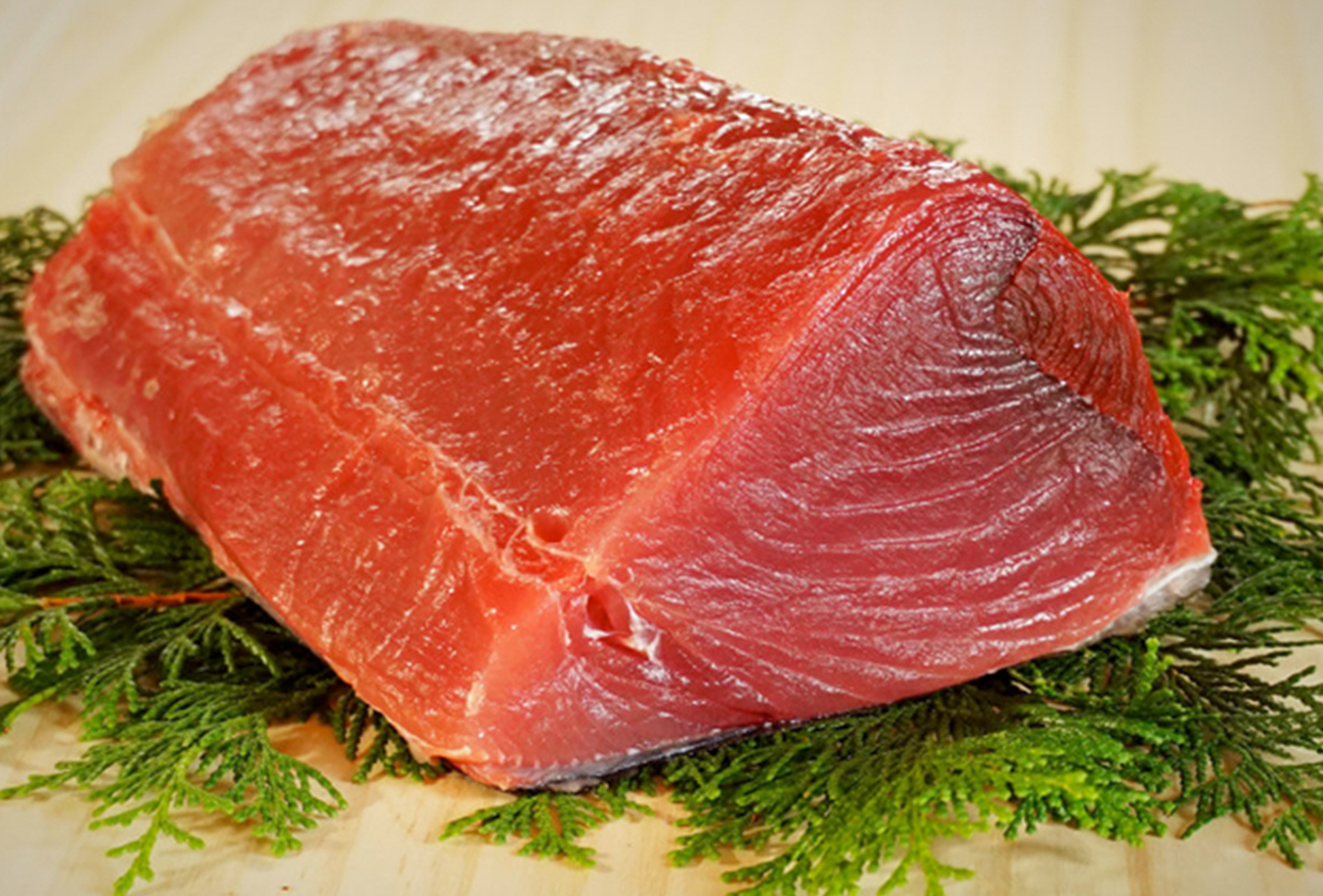 The Tuna of Nachikatsuura (Mochi Tuna)