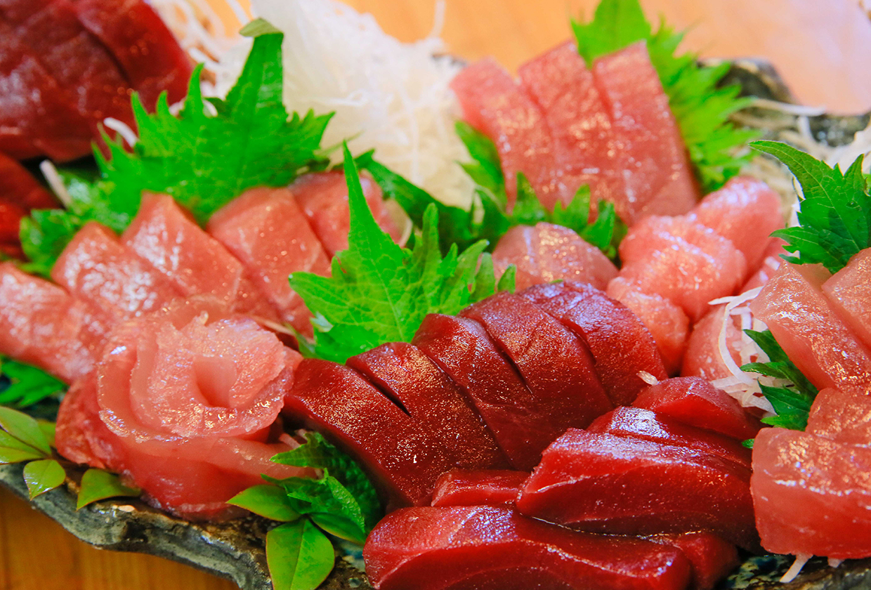 The Tuna Seasons of Nachikatsuura
