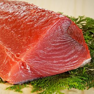 Mochi Maguro – The Tuna of Nachikatsuura